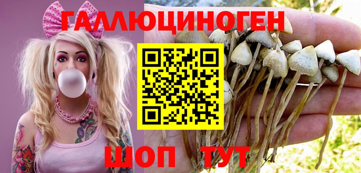 Ишим  Галлюциногенные грибы Psilocybine cubensis  Псилоцибиновые грибы мухоморы  Вход с VPN 